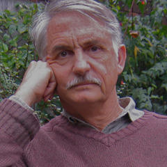 David Wallace quotes