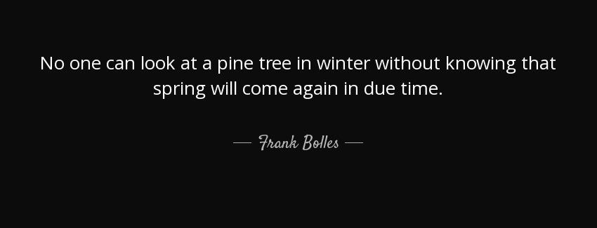 quote no one can look at a pine tree in winter without knowing that spring will come again frank bolles Quotes