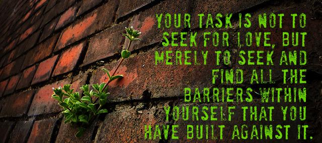 Quotation Rumi Your task is not to seek for love but merely Quotes