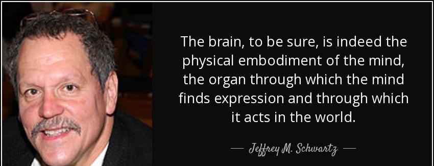 quote the brain to be sure is indeed the physical embodiment of the mind the organ through jeffrey m schwartz Quotes