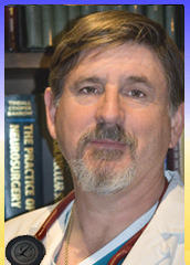 Allan Hamilton quotes