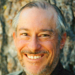 Shinzen Young quotes