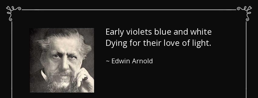 quote early violets blue and white dying for their love of light edwin arnold Quotes