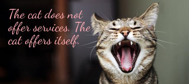 Quotation William S Burroughs The cat does not offer services The cat offers itself Quotes