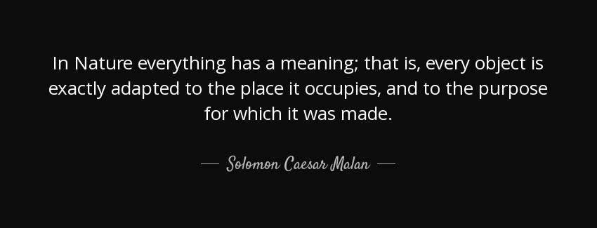 quote in nature everything has a meaning that is every object is exactly adapted to the place solomon caesar malan Quotes