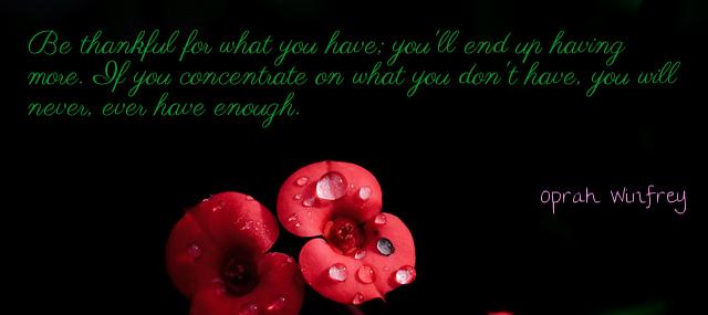 Quotation Oprah Winfrey Be thankful for what you have you ll end up Quotes