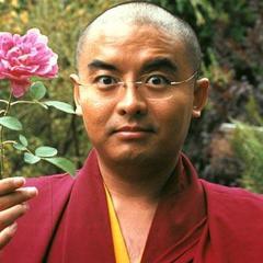 Yongey Mingyur Rinpoche quotes