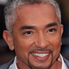 Cesar Millan quotes