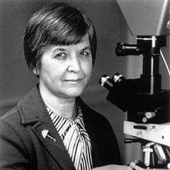 Stephanie Kwolek quotes