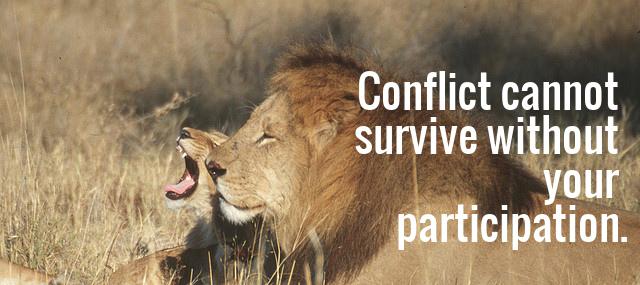 Quotation Wayne Dyer Conflict cannot survive without your participation Quotes