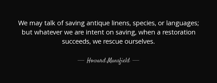 quote we may talk of saving antique linens species or languages but whatever we are intent howard mansfield Quotes