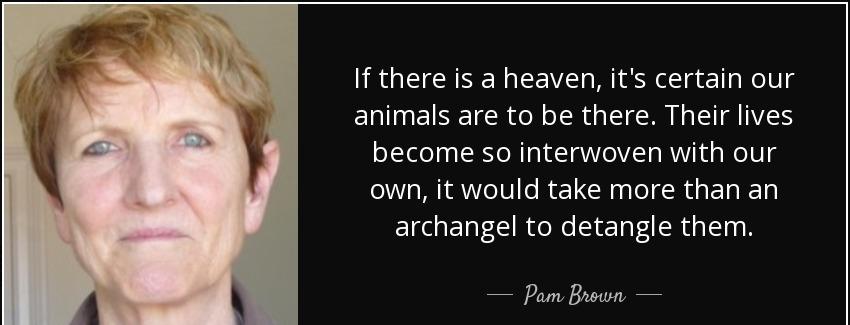 quote if there is a heaven it s certain our animals are to be there their lives become so pam brown Quotes