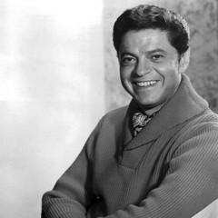 Ross Martin quotes