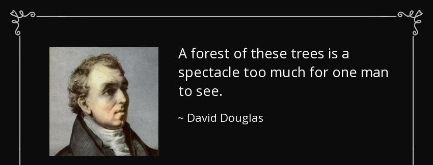 quote a forest of these trees is a spectacle too much for one man to see david douglas Quotes