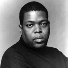 Hilton Als quotes