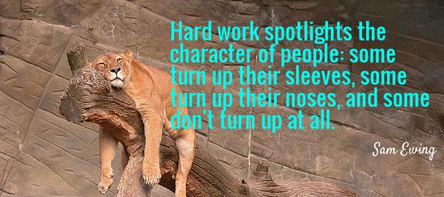 Quotation Sam Ewing Hard work spotlights the character of people some turn up Quotes