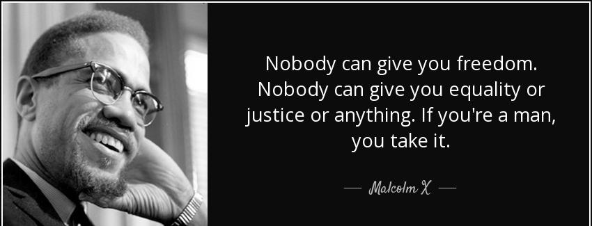 quote nobody can give you freedom nobody can give you equality or justice or anything if you malcolm x Quotes