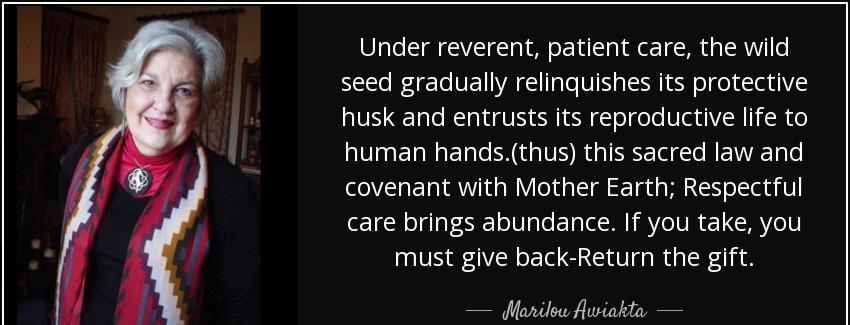 quote under reverent patient care the wild seed gradually relinquishes its protective husk marilou awiakta Quotes