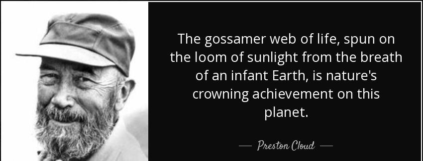 quote the gossamer web of life spun on the loom of sunlight from the breath of an infant earth preston cloud Quotes