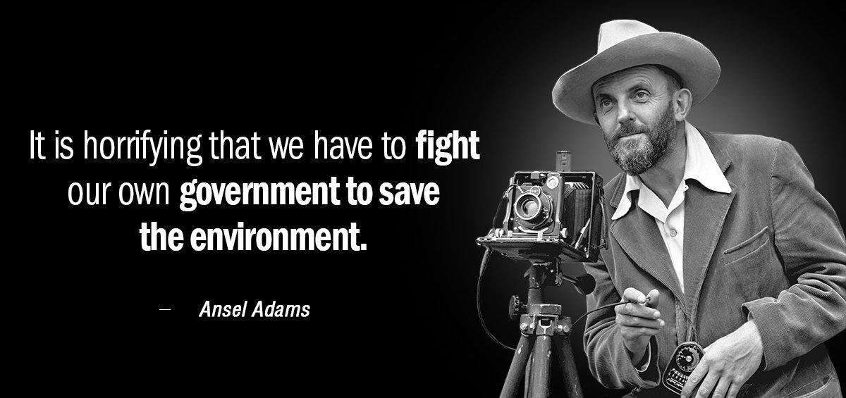Quotation Ansel Adams It is horrifying that we have to fight our own Quotes