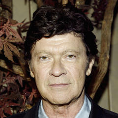 Robbie Robertson quotes