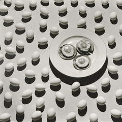 Ralph Steiner quotes