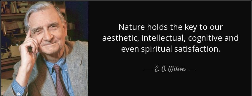 quote nature holds the key to our aesthetic intellectual cognitive and even spiritual satisfaction e o wilson Quotes