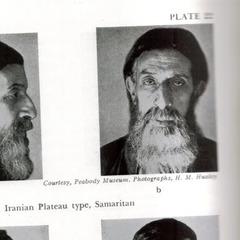 Earnest Hooton quotes