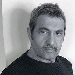 Michael Parenti quotes