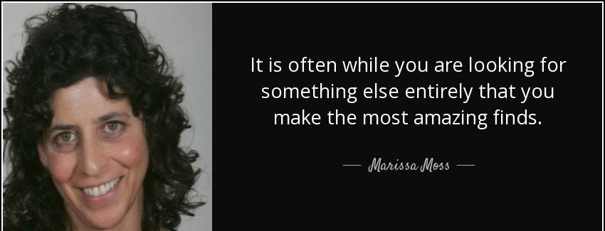 quote it is often while you are looking for something else entirely that you make the most marissa moss Quotes
