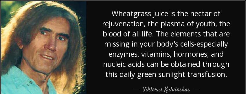 quote wheatgrass juice is the nectar of rejuvenation the plasma of youth the blood of all viktoras kulvinskas Quotes