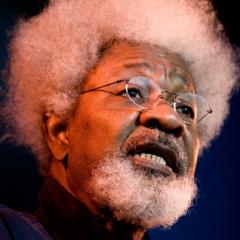 Wole Soyinka quotes