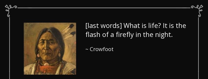 quote last words what is life it is the flash of a firefly in the night crowfoot Quotes