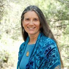 Sandra Ingerman quotes