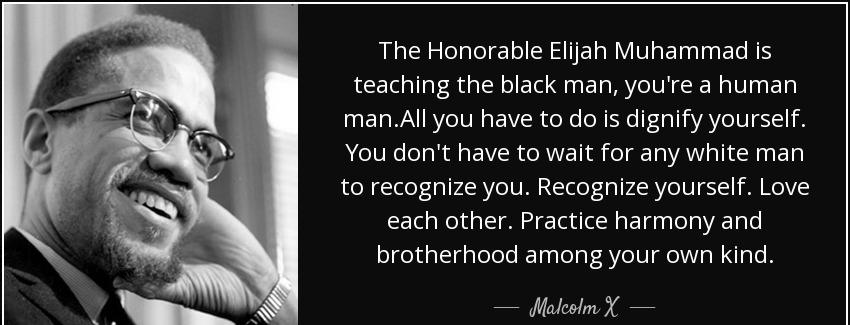 quote the honorable elijah muhammad is teaching the black man you re a human man all you have malcolm x Quotes