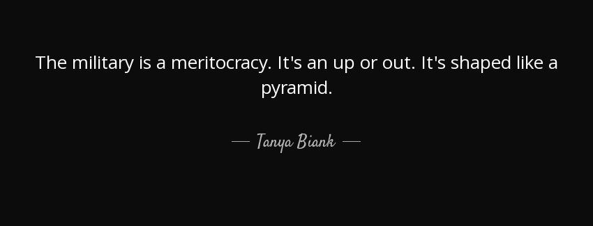 quote the military is a meritocracy it s an up or out it s shaped like a pyramid tanya biank Quotes