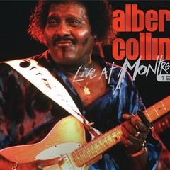 Albert Collins quotes