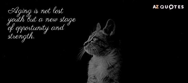 Quotation Betty Friedan Aging is not lost youth but a new stage of Quotes