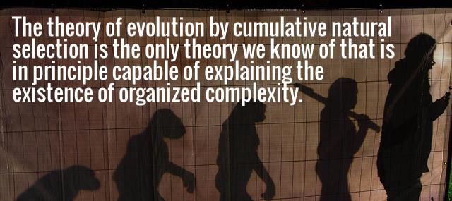 Quotation Richard Dawkins The theory of evolution by cumulative natural selection is the Quotes