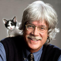 Kevin Fitzgerald quotes