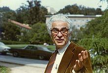 Maxwell Rosenlicht quotes