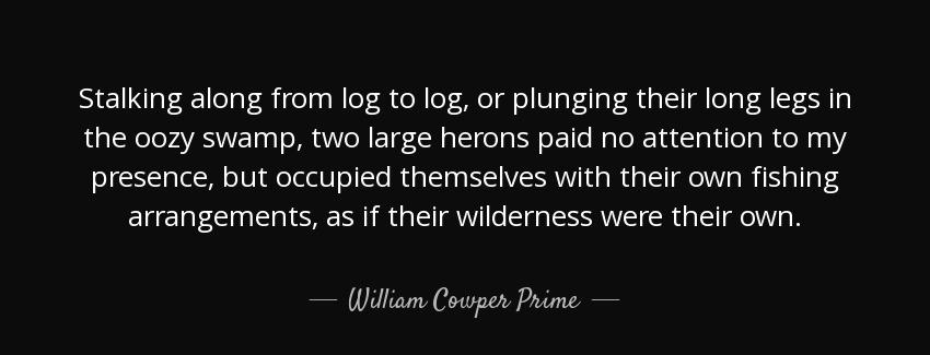 quote stalking along from log to log or plunging their long legs in the oozy swamp two large william cowper prime Quotes
