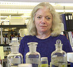 C. Sue Carter quotes