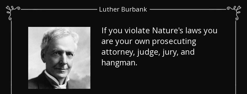 quote if you violate nature s laws you are your own prosecuting attorney judge jury and hangman luther burbank Quotes