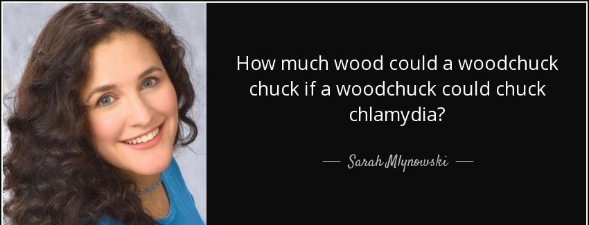 quote how much wood could a woodchuck chuck if a woodchuck could chuck chlamydia sarah mlynowski Quotes