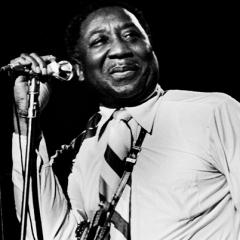 Muddy Waters quotes