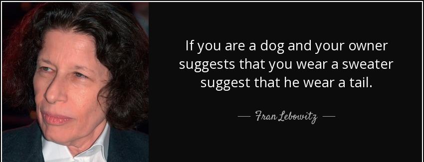 quote if you are a dog and your owner suggests that you wear a sweater suggest that he wear fran lebowitz Quotes