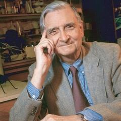 E. O. Wilson quotes