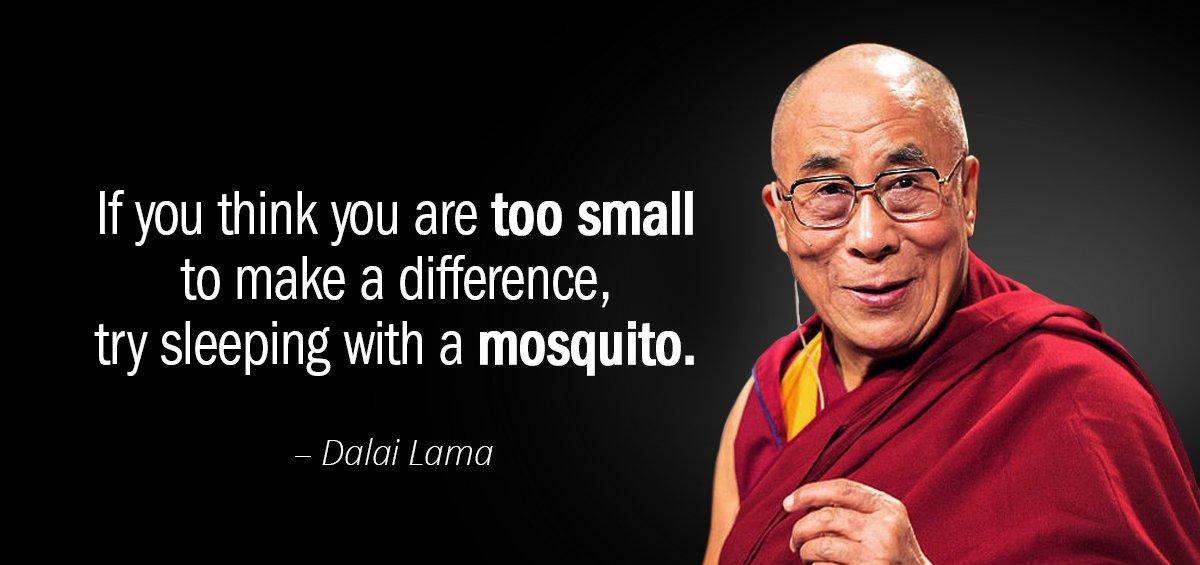 Quotation Dalai Lama If you think you are too small to make a Quotes