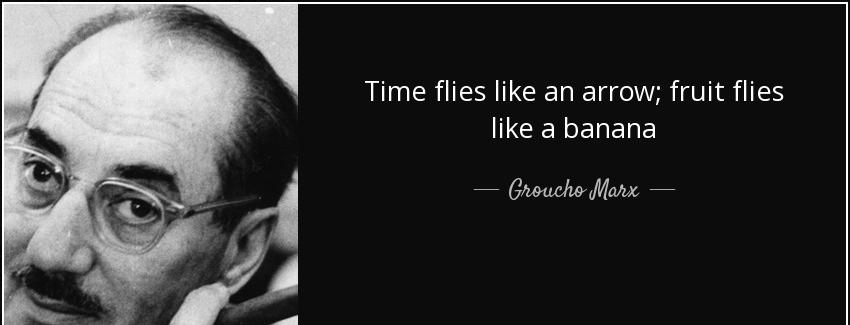 quote time flies like an arrow fruit flies like a banana groucho marx Quotes